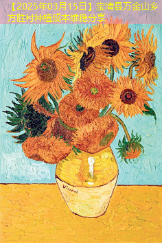 【2025年03月15日】宝清县万金山乡方胜村种植成本维稳分享