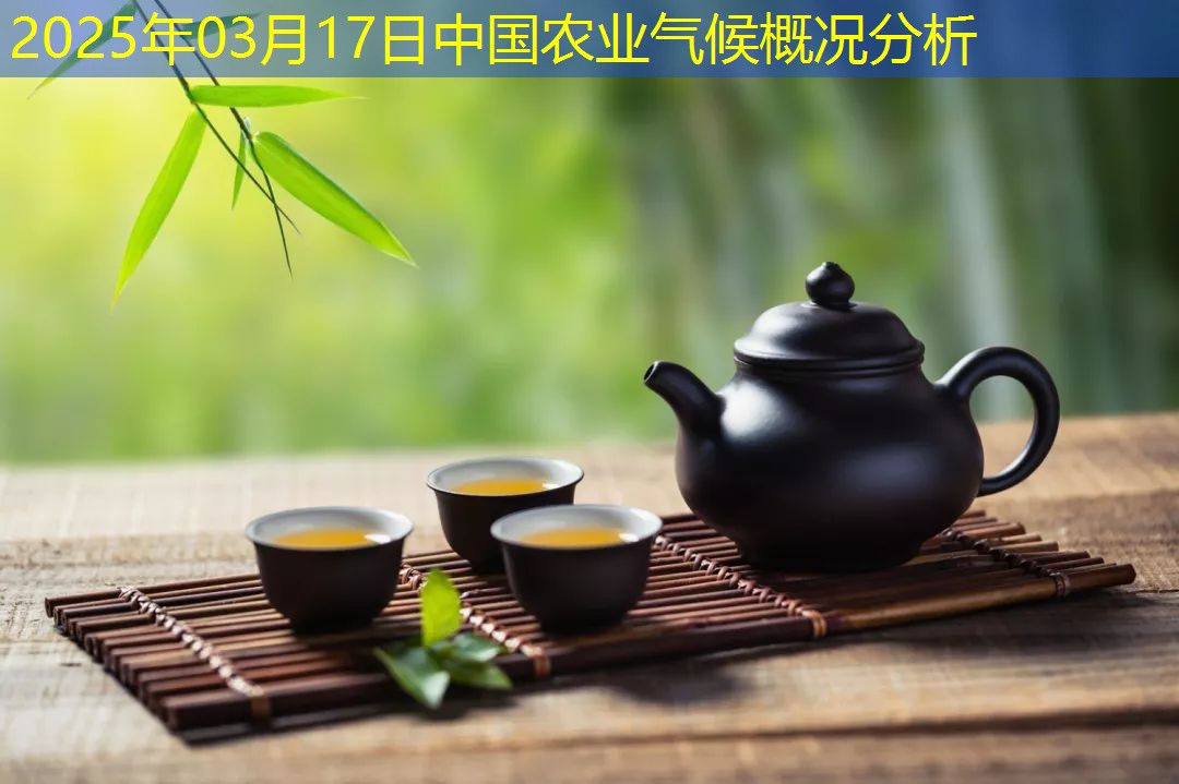 2025年03月17日中国农业气候概况分析