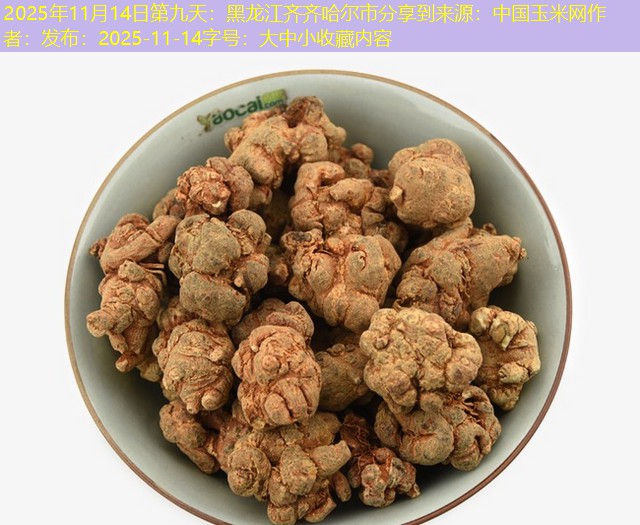 2025年11月14日第九天：黑龙江齐齐哈尔市分享到来源：中国玉米网作者：发布：2025-11-14字号：大中小收藏内容
