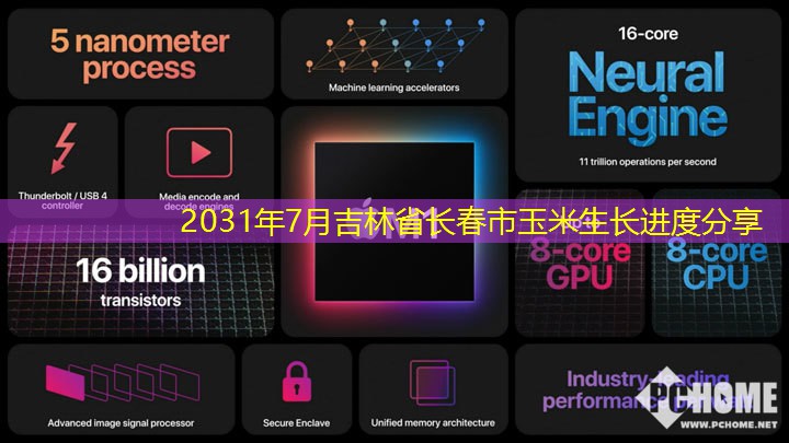 2031年7月吉林省长春市玉米生长进度分享