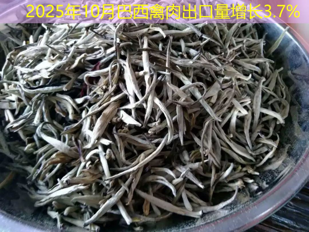 2025年10月巴西禽肉出口量增长3.7%