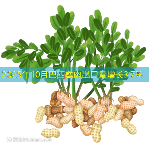 2025年10月巴西禽肉出口量增长3.7%