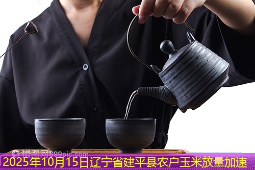 2025年10月15日辽宁省建平县农户玉米放量加速