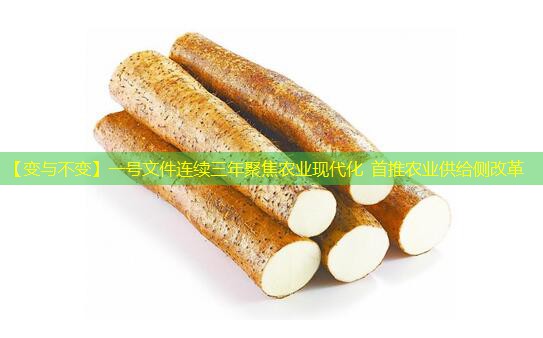 【变与不变】一号文件连续三年聚焦农业现代化 首推农业供给侧改革