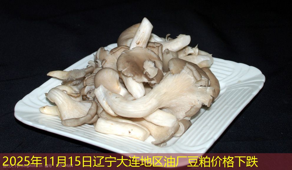 2025年11月15日辽宁大连地区油厂豆粕价格下跌