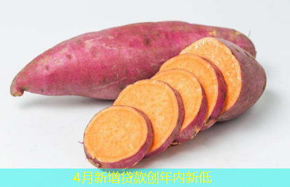 4月新增贷款创年内新低