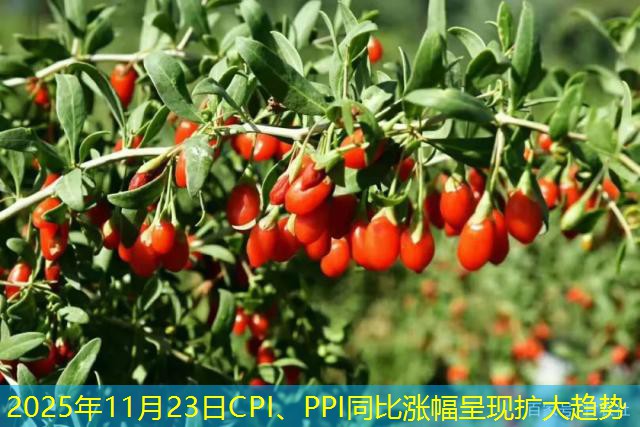2025年11月23日CPI、PPI同比涨幅呈现扩大趋势