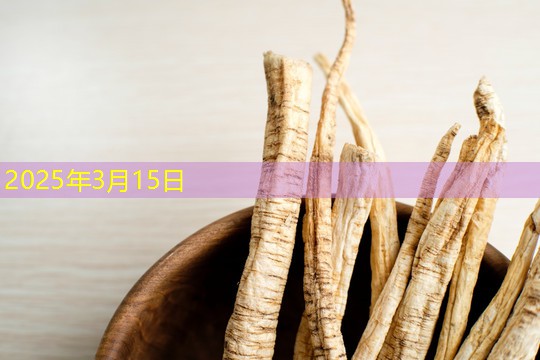 2025年3月15日