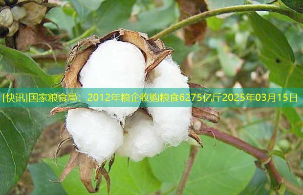 [快讯]国家粮食局：2012年粮企收购粮食6275亿斤2025年03月15日