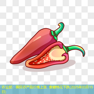 农业部：国际农产品价格上涨 食糖棉花下跌(2025年03月15日)