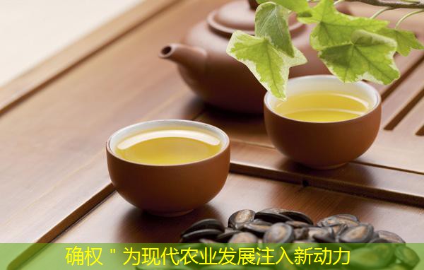 确权＂为现代农业发展注入新动力