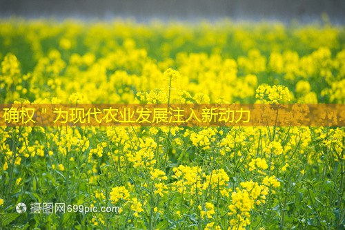 确权＂为现代农业发展注入新动力