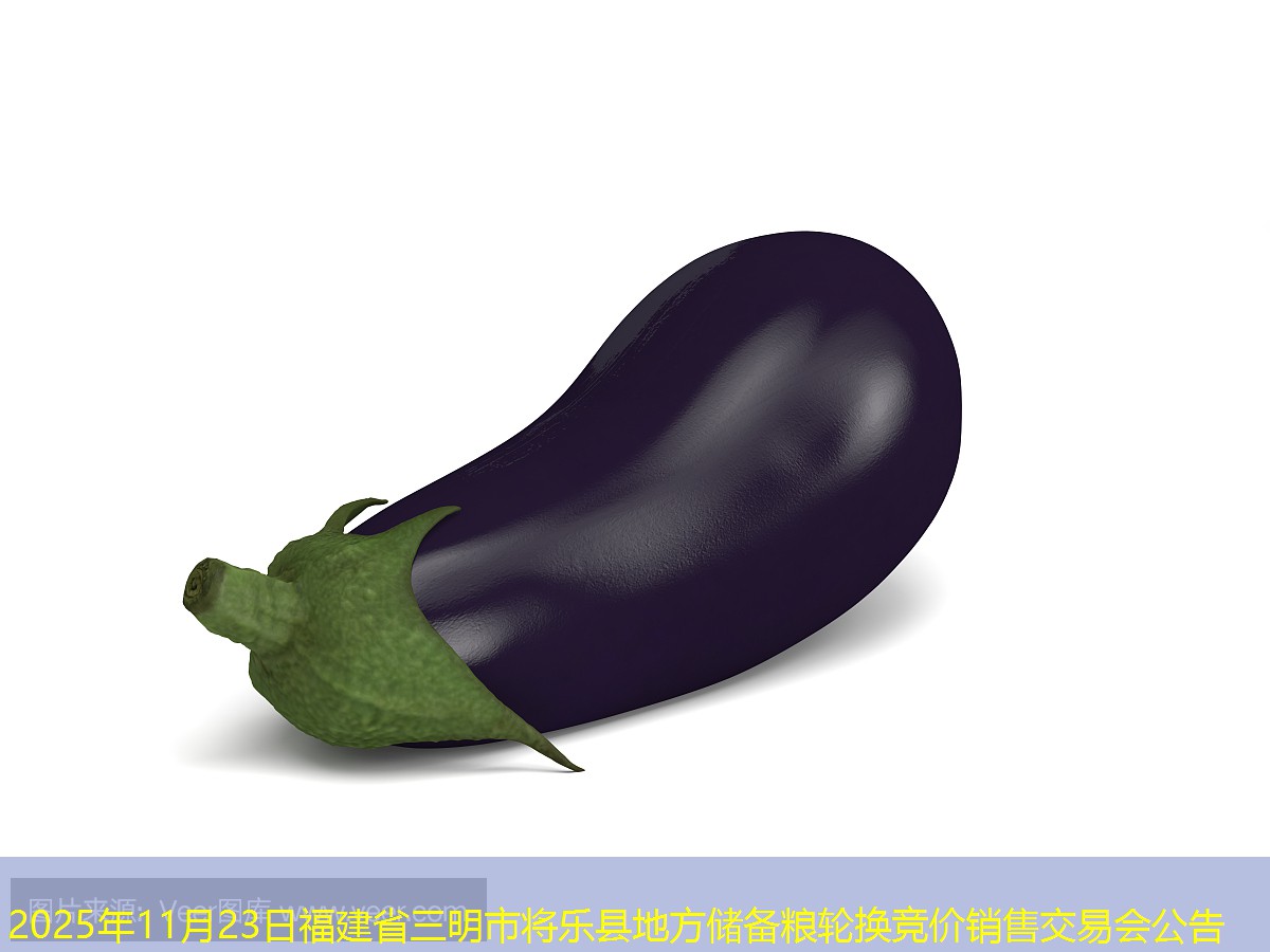 2025年11月23日福建省三明市将乐县地方储备粮轮换竞价销售交易会公告