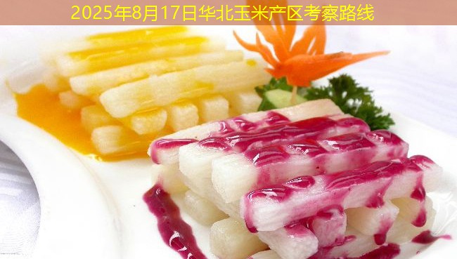 2025年8月17日华北玉米产区考察路线