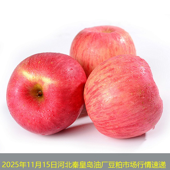 2025年11月15日河北秦皇岛油厂豆粕市场行情速递