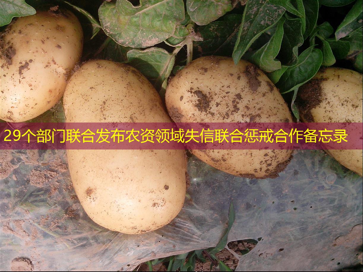 29个部门联合发布农资领域失信联合惩戒合作备忘录