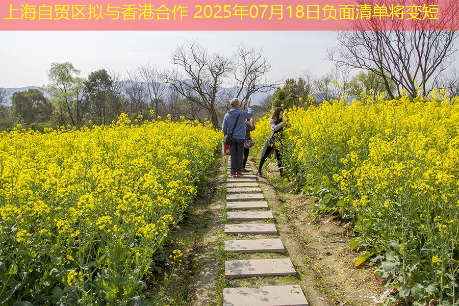 上海自贸区拟与香港合作 2025年07月18日负面清单将变短