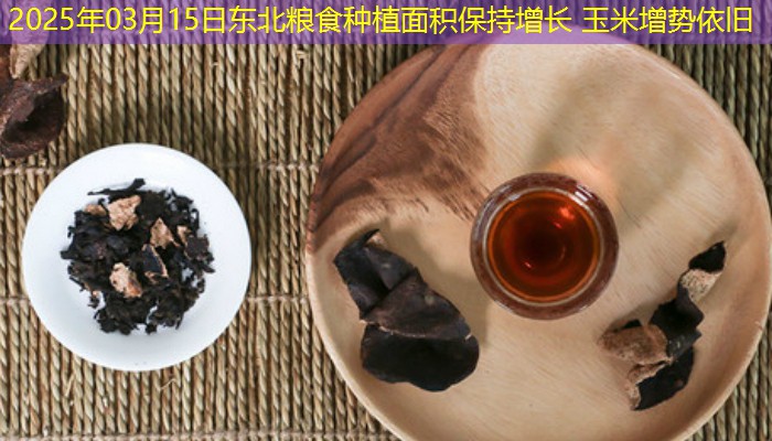 2025年03月15日东北粮食种植面积保持增长 玉米增势依旧