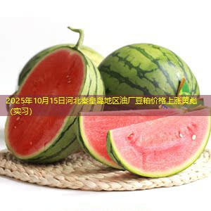 2025年10月15日河北秦皇岛地区油厂豆粕价格上涨黄彪（实习）