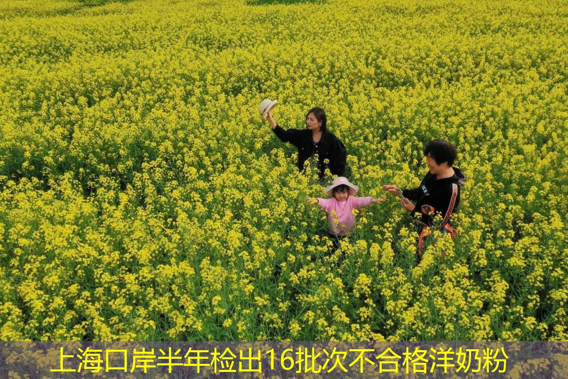 上海口岸半年检出16批次不合格洋奶粉