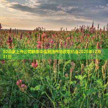 80余家上市公司联手中连期货市场获取机会2025年12月31日