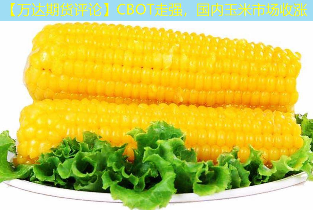 【万达期货评论】CBOT走强，国内玉米市场收涨