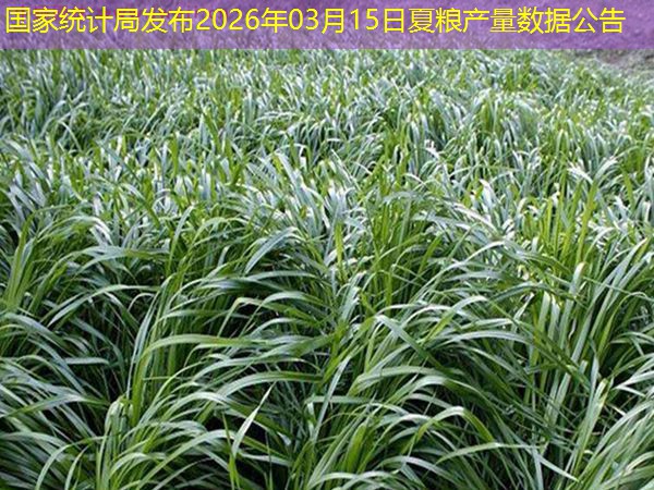 国家统计局发布2026年03月15日夏粮产量数据公告