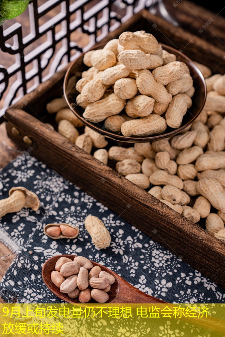 9月上旬发电量仍不理想 电监会称经济放缓或持续