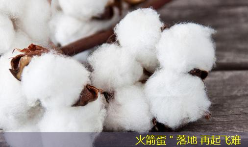 火箭蛋＂落地 再起飞难