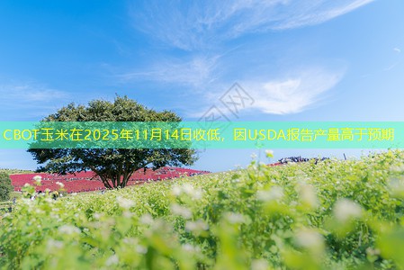 CBOT玉米在2025年11月14日收低，因USDA报告产量高于预期