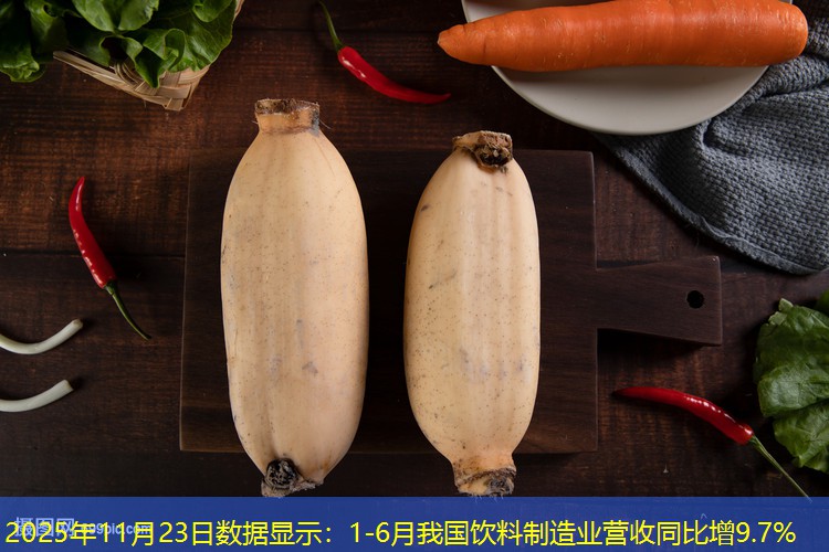 2025年11月23日数据显示：1-6月我国饮料制造业营收同比增9.7%