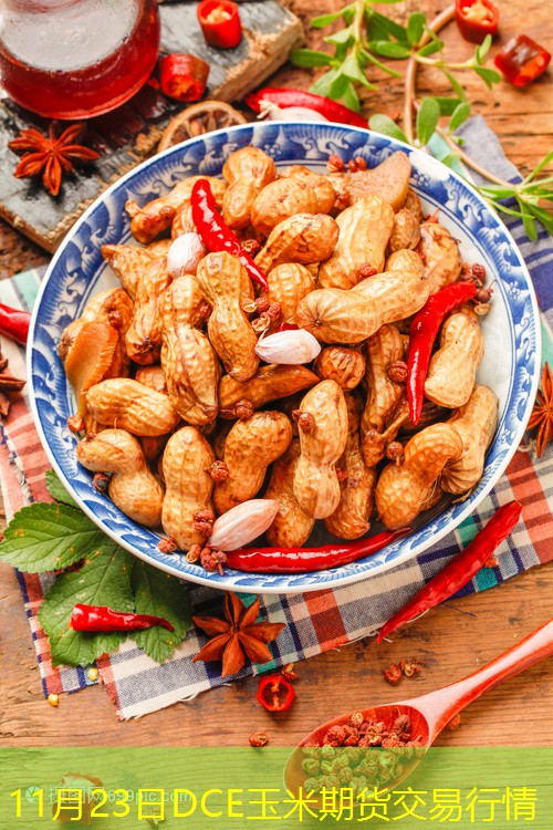11月23日DCE玉米期货交易行情