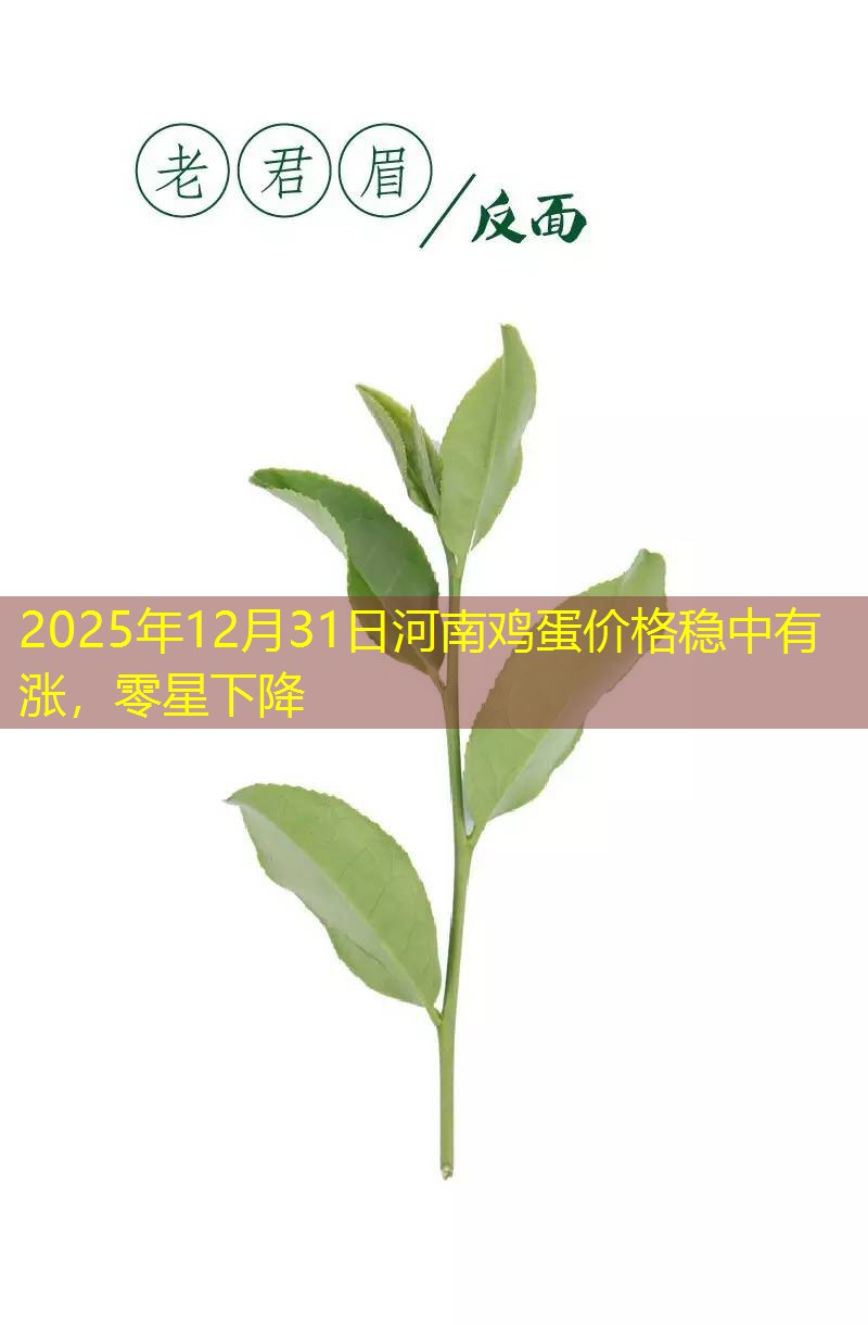2025年12月31日河南鸡蛋价格稳中有涨，零星下降