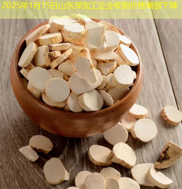 2025年1月15日山东深加工企业收购价格局部下降