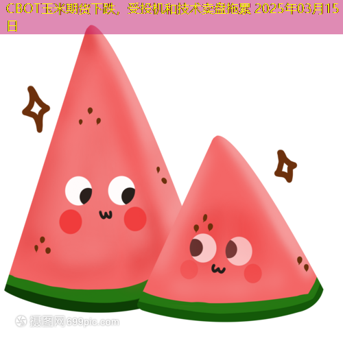 CBOT玉米期货下跌，受投机和技术卖盘拖累 2025年03月15日