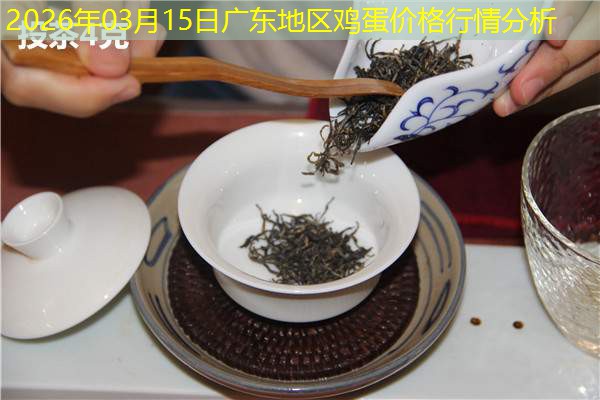 2026年03月15日广东地区鸡蛋价格行情分析