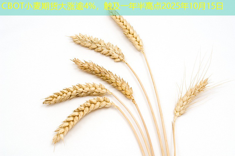 CBOT小麦期货大涨逾4%，触及一年半高点2025年10月15日