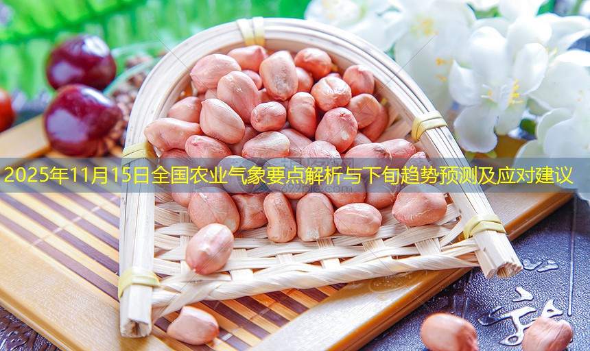 2025年11月15日全国农业气象要点解析与下旬趋势预测及应对建议