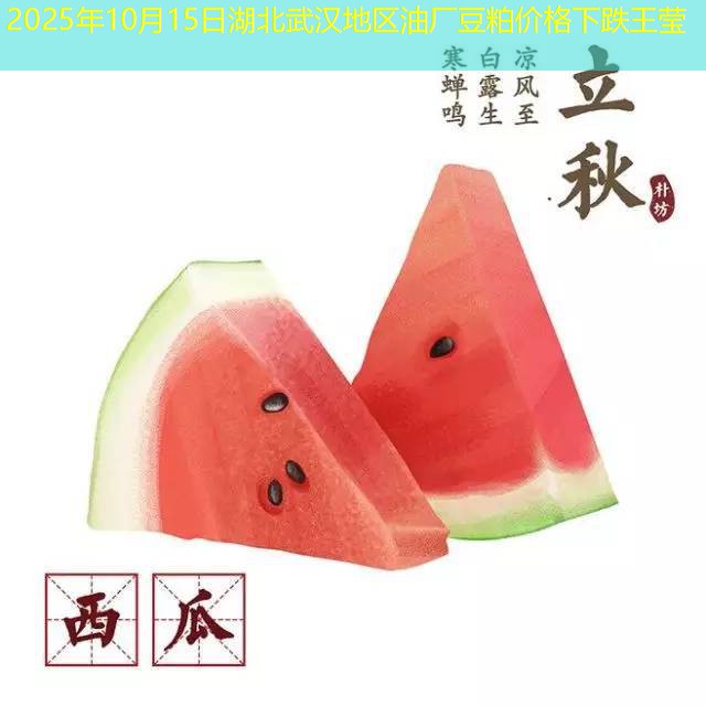 2025年10月15日湖北武汉地区油厂豆粕价格下跌王莹