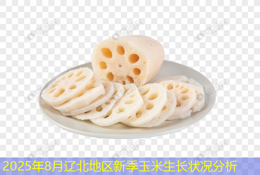 2025年8月辽北地区新季玉米生长状况分析
