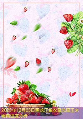 2025年12月03日黑龙江省农垦总局玉米销售进度分析