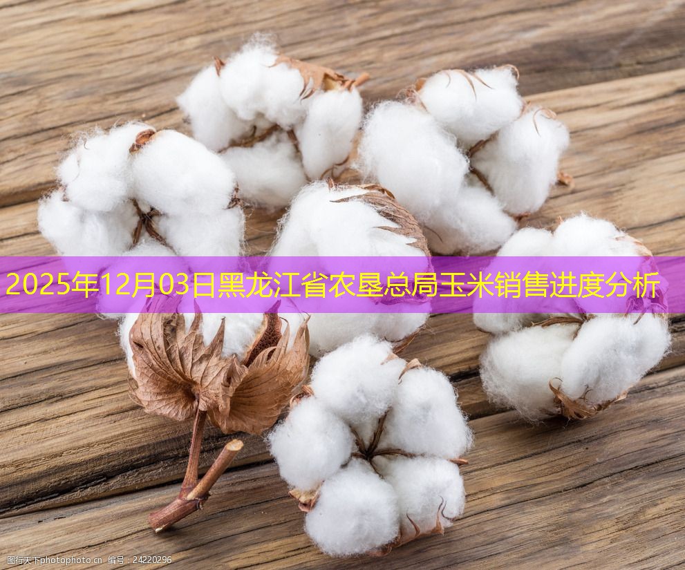 2025年12月03日黑龙江省农垦总局玉米销售进度分析