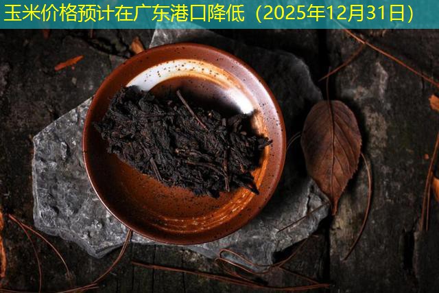 玉米价格预计在广东港口降低（2025年12月31日）