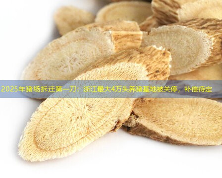 2025年猪场拆迁第一刀：浙江最大4万头养猪基地被关停，补偿待定