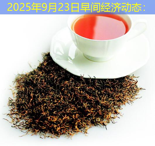 2025年9月23日早间经济动态：