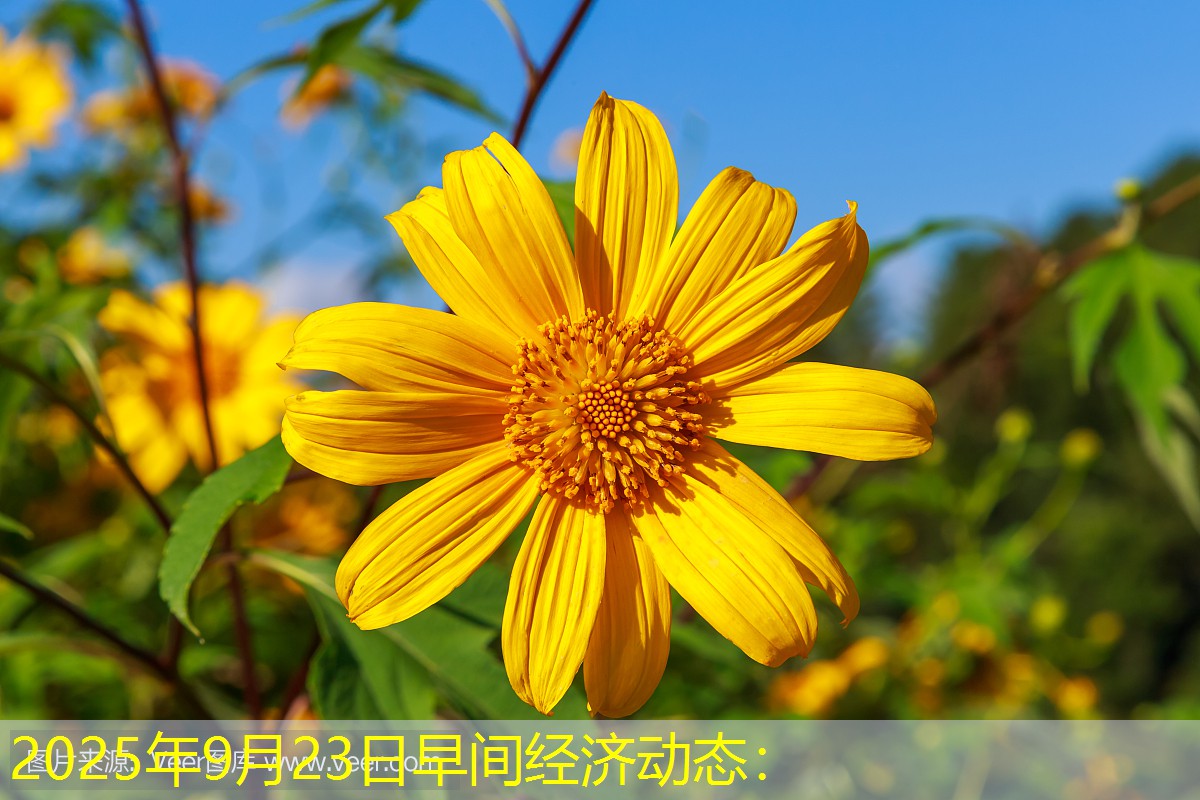 2025年9月23日早间经济动态：