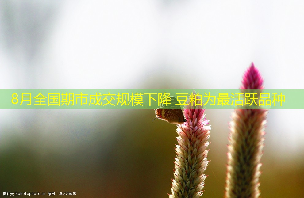 8月全国期市成交规模下降 豆粕为最活跃品种