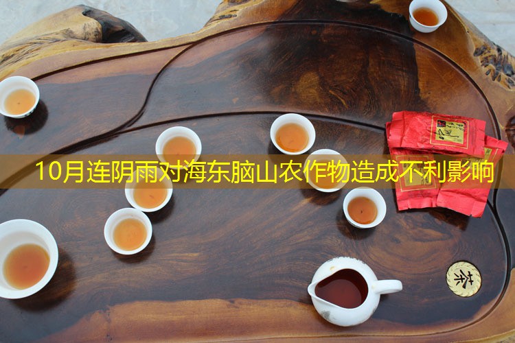10月连阴雨对海东脑山农作物造成不利影响