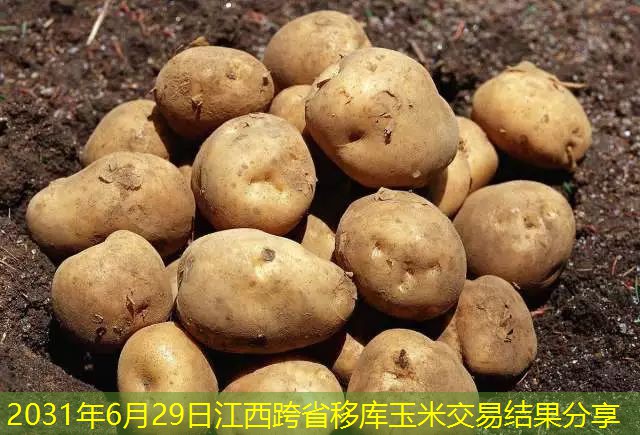 2031年6月29日江西跨省移库玉米交易结果分享