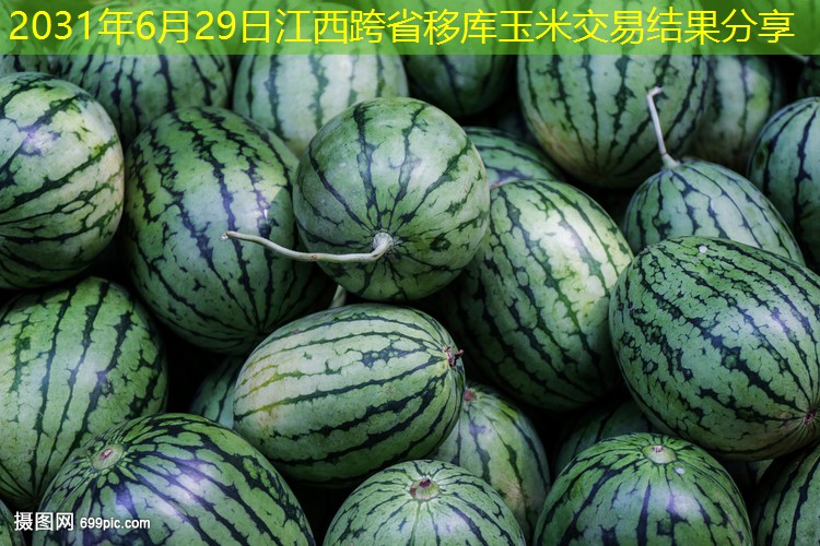 2031年6月29日江西跨省移库玉米交易结果分享